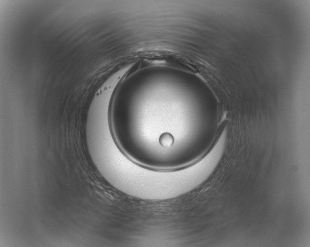 X0000064721014200602241631