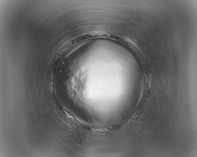 X0000064721015200602241631