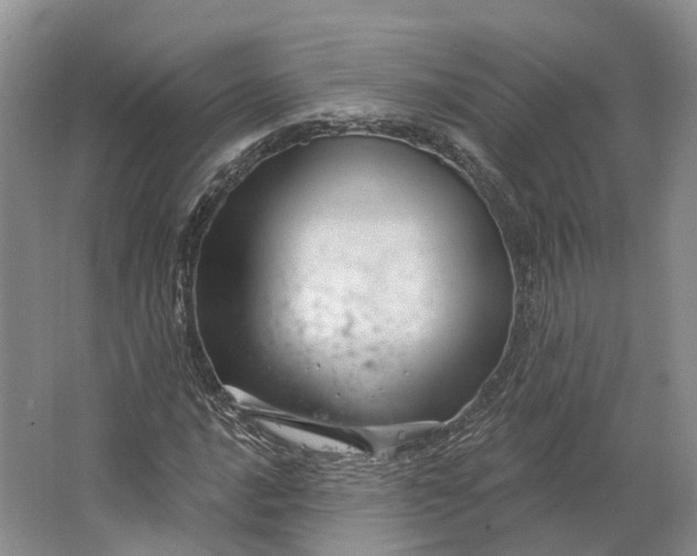 X0000064721016200602241631