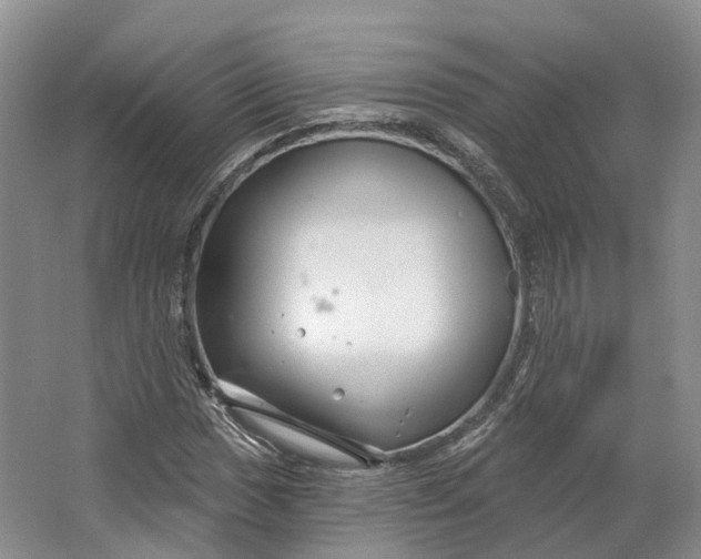 X0000064721017200602241631