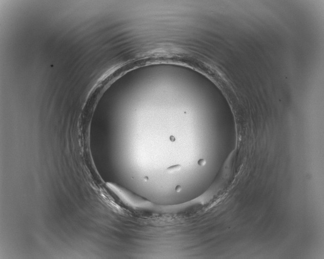 X0000064721018200602241631