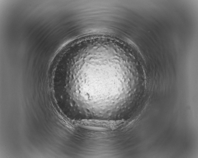 X0000064721019200602241631