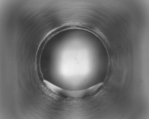 X0000064721020200602241631