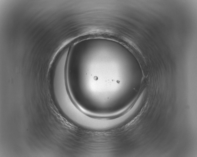 X0000064721021200602241631