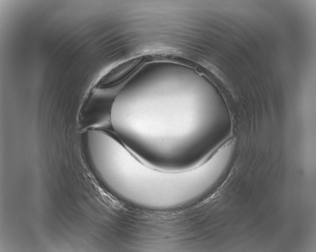 X0000064721022200602241631