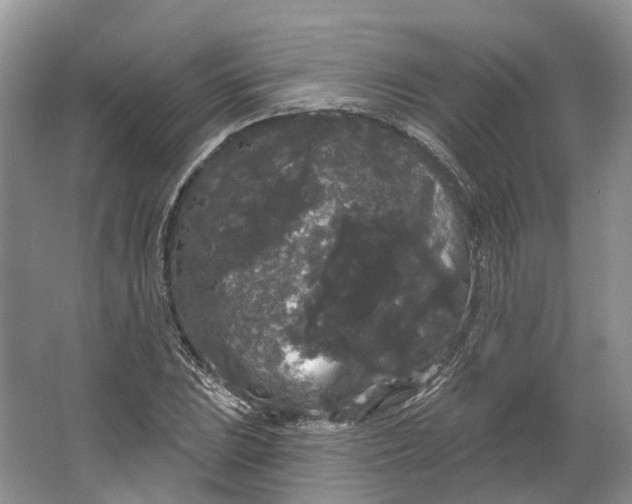 X0000064721023200602241631