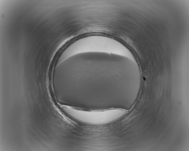 X0000064721024200602241631