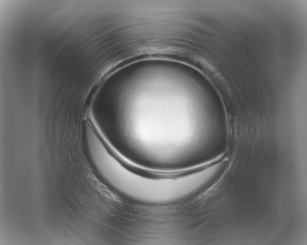 X0000064721025200602241631