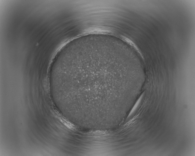 X0000064721027200602241631