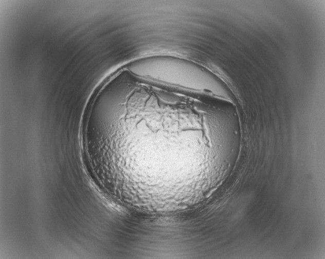 X0000064721028200602241631