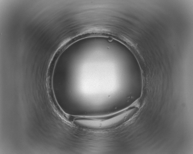 X0000064721029200602241631