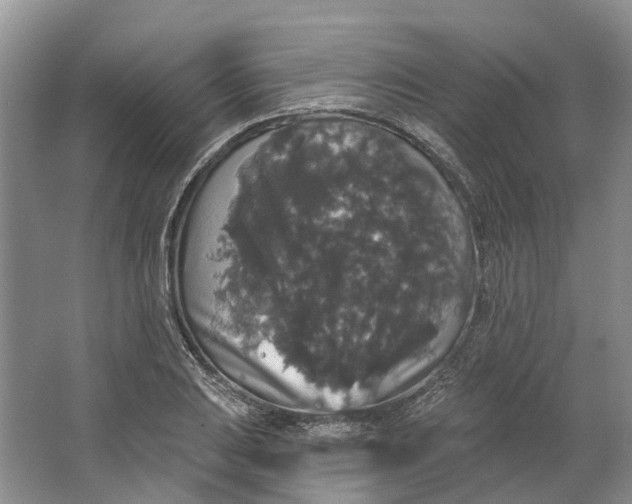 X0000064721031200602241631