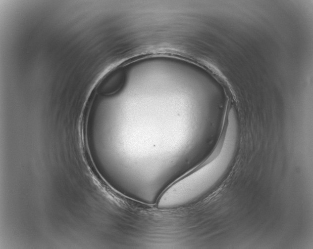 X0000064721032200602241631