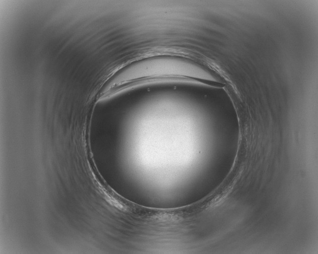 X0000064721033200602241631