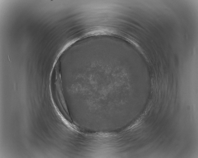 X0000064721034200602241631