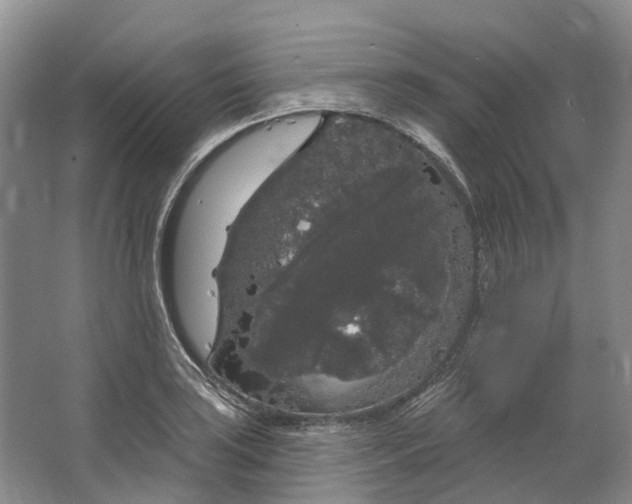 X0000064721035200602241631