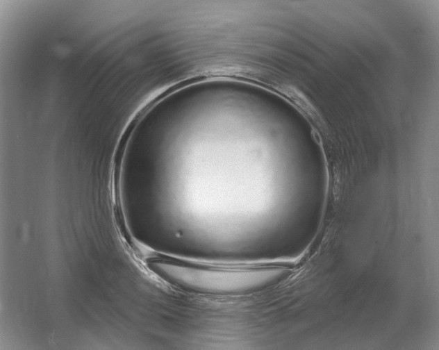 X0000064721036200602241631