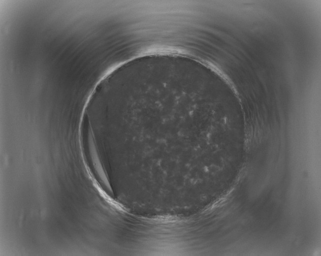 X0000064721037200602241631