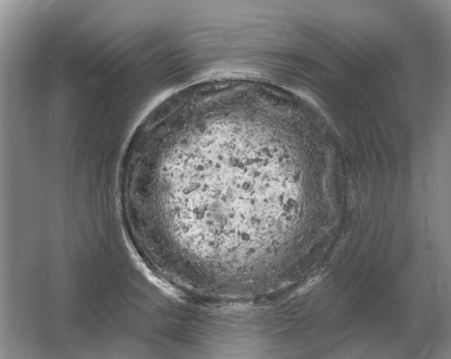 X0000064721038200602241631