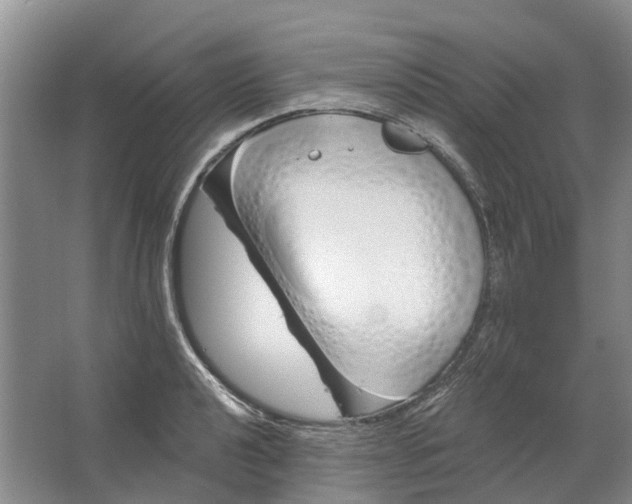 X0000064721040200602241631