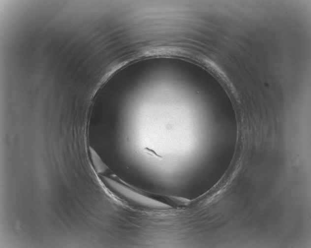 X0000064721041200602241631