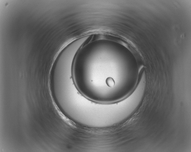 X0000064721042200602241631