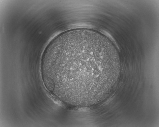 X0000064721043200602241631