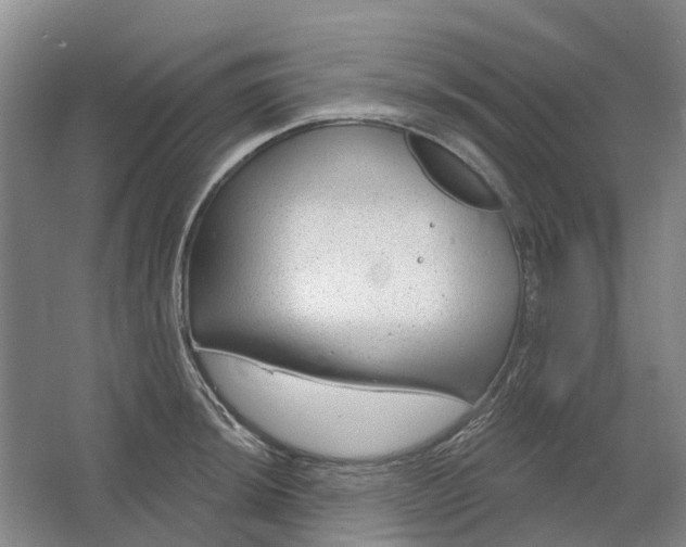 X0000064721044200602241632