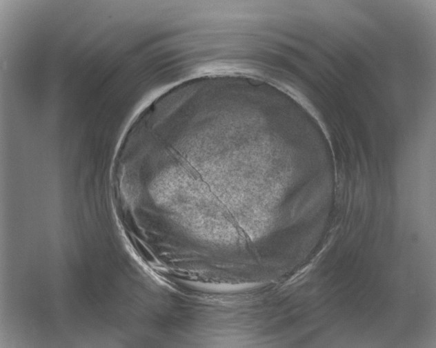 X0000064721045200602241632