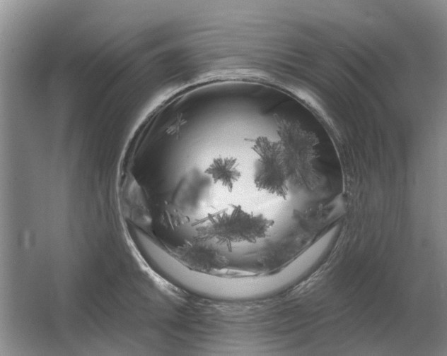 X0000064721046200602241632