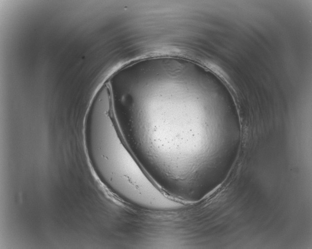 X0000064721047200602241632