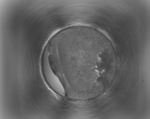 X0000064721048200602241632