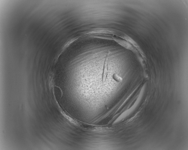 X0000064721049200602241632