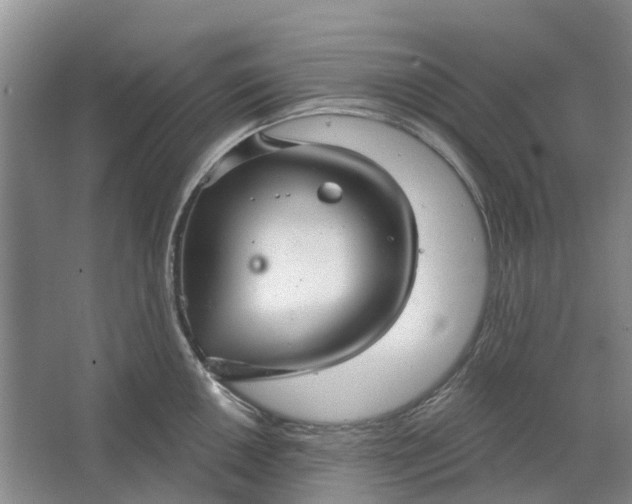 X0000064721050200602241632