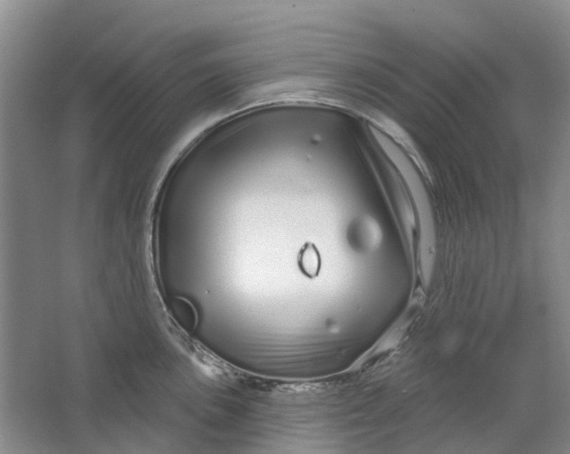 X0000064721051200602241632