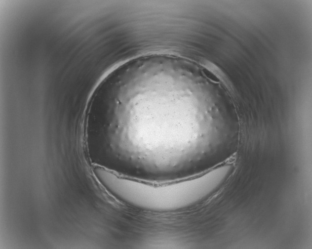 X0000064721052200602241632