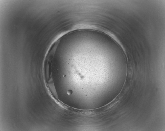 X0000064721053200602241632