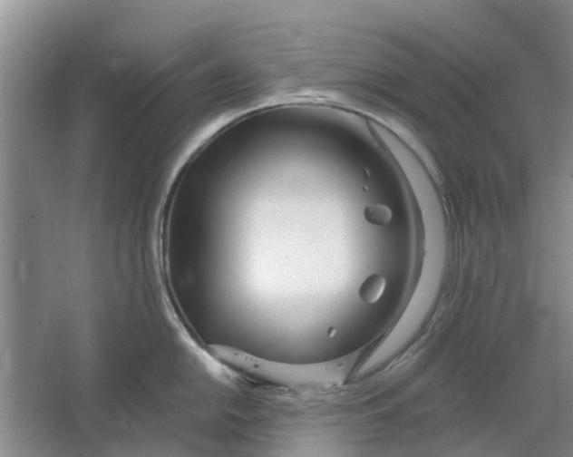 X0000064721054200602241632