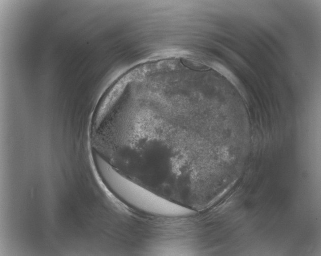 X0000064721055200602241632