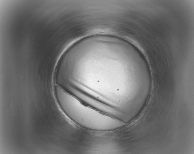 X0000064721056200602241632