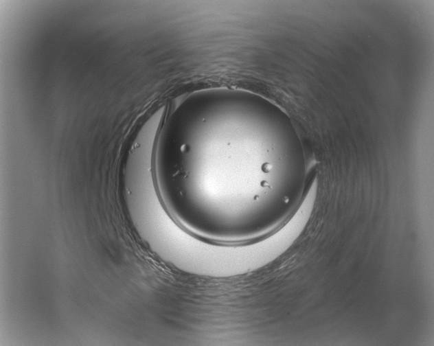 X0000064721057200602241631