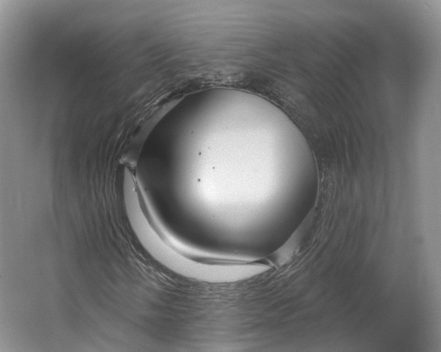 X0000064721058200602241631