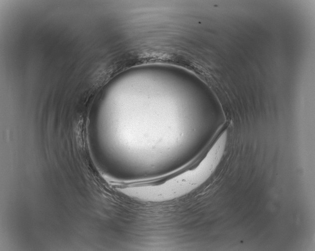 X0000064721059200602241631