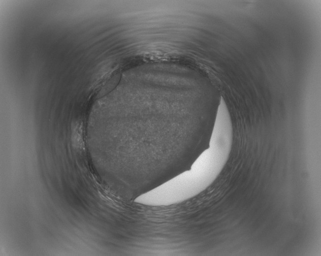 X0000064721060200602241631