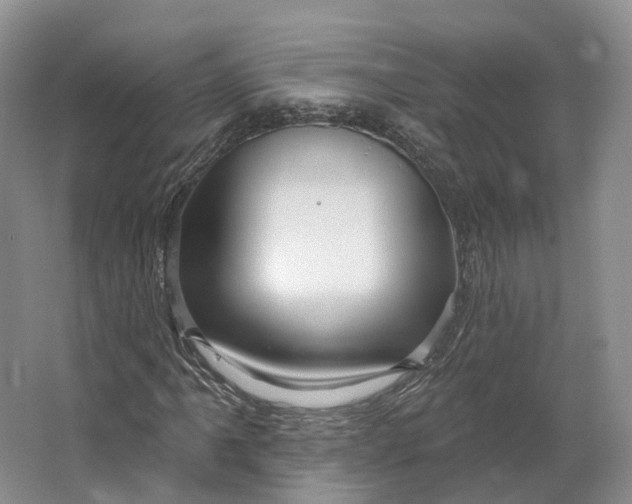 X0000064721061200602241630