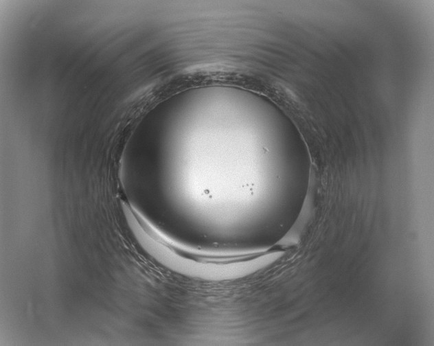 X0000064721062200602241630