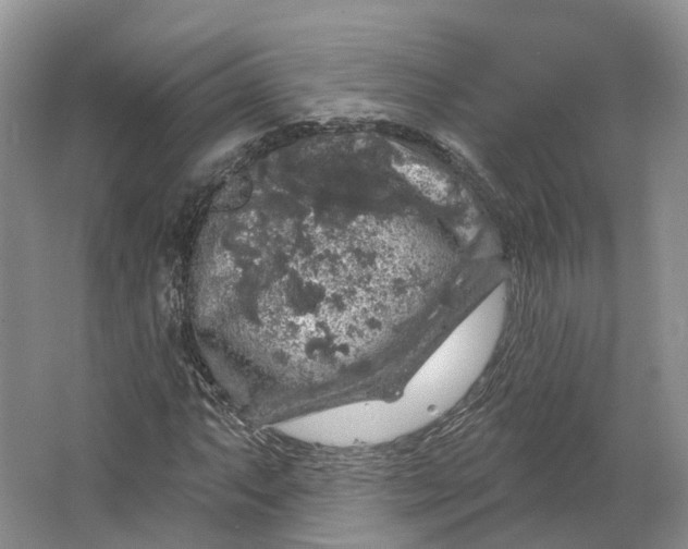 X0000064721063200602241630