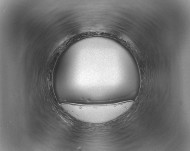 X0000064721064200602241630