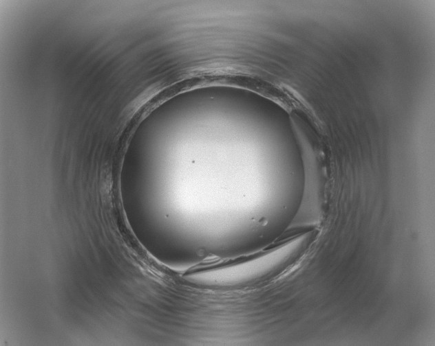 X0000064721065200602241630