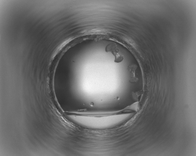 X0000064721066200602241630